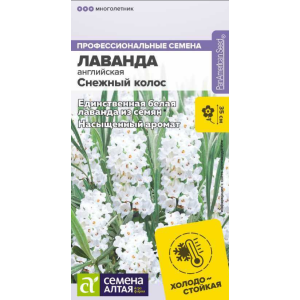 Лаванда Снежный колос Семена Алтая Ц Лаванда Снежный колос Семена Алтая Ц