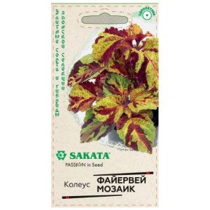 Колеус Фейервей Мозаик Гавриш Ц Колеус Фейервей Мозаик Гавриш Ц