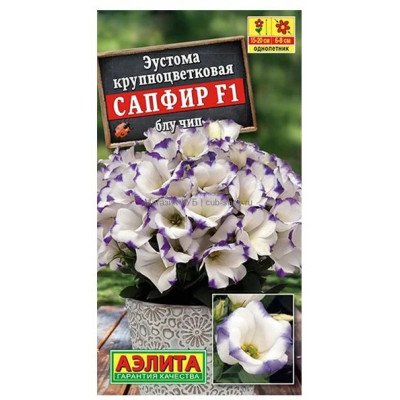 Эустома Сапфир Блу чип крупноцветковая  Аэлита Ц