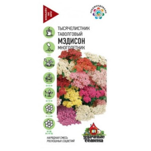 Тысячелистник Мэдисон Гавриш Ц Тысячелистник Мэдисон Гавриш Ц
