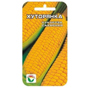 Кукуруза Хуторянка СС Ц