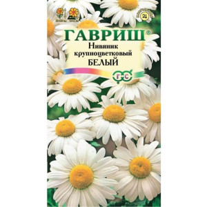 Нивяник крупноцветковый белый Гавриш Ц
