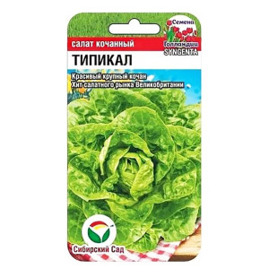 Салат Типикал СС Ц