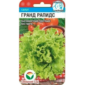 Салат Гранд Рапидс СС Ц