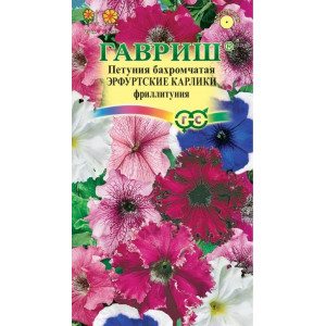 Петуния Эрфутские карлики Гавриш Ц
