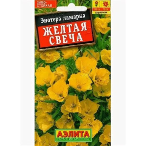 Энотера Желтая свеча Аэлита Ц