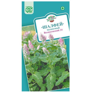 Шалфей Мускатный Вознесенский Гавриш Ц