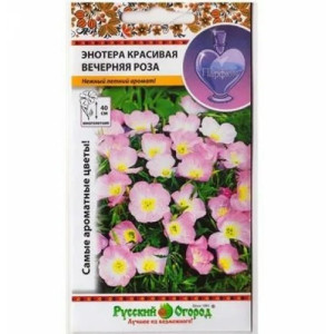 Энотера Вечерняя роза НК ц