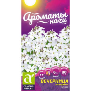 Вечерница Матроны Белая Семена Алтая цп Ночная фиалка