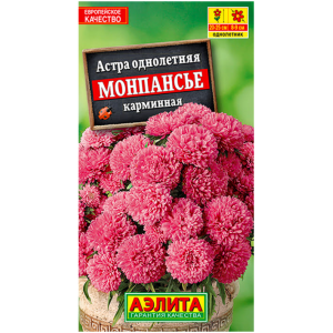 Астра Монпасье карминная Аэлита Ц Астра Монпасье карминная Аэлита Ц