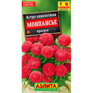 Астра Монпасье красная Аэлита Ц Астра Монпасье красная Аэлита Ц