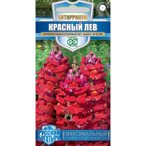 Львиный зев Красный Лев Антирриум Гавриш Ц Львиный зев Красный Лев Антирриум Гавриш Ц