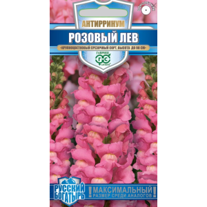 Львиный зев Розовый Лев Антирриум Гавриш Ц