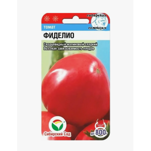 Томат Фиделио СС Ц