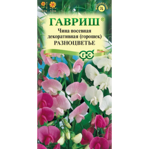 Горошек Разноцветье многолетний Гавриш Ц Горошек Разноцветье многолетний Гавриш Ц