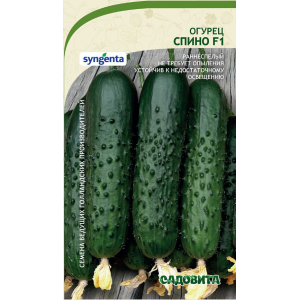 Огурец Спино F1 Syngenta/ Садовита Ц