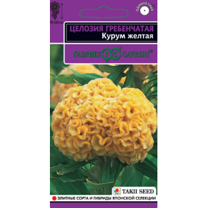 Целозия Курум желтая гребенчатая Гавриш Ц Целозия Курум желтая гребенчатая Гавриш Ц