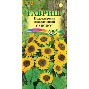 Подсолнечник Санспот карликовый Гавриш Ц Подсолнечник Санспот карликовый Гавриш Ц