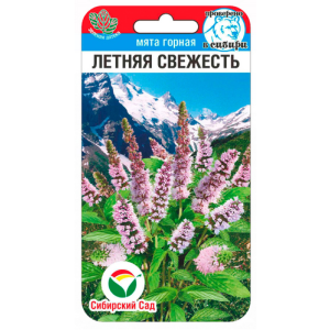 Мята Летняя свежесть СибСад Ц