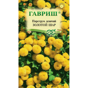 Пиретрум Золотой шар Гавриш Ц Пиретрум Золотой шар Гавриш Ц
