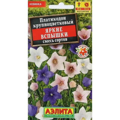 Платикодон Яркие вспышки Аэлита Ц