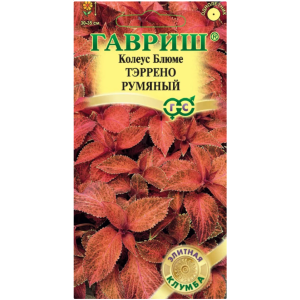 Колеус Тэррено румяный Гавриш Ц Колеус Тэррено румяный Гавриш Ц