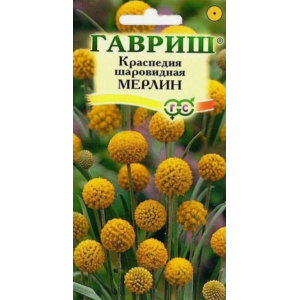 Краспедия Мерлин Гавриш Ц Краспедия Мерлин Гавриш Ц