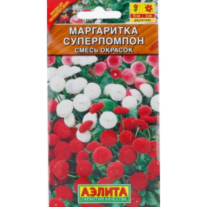 Маргаритка Суперпомпон Аэлита Ц