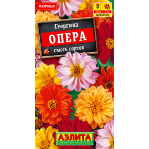 Георгин Опера смесь Аэлита Ц Георгин Опера смесь Аэлита Ц
