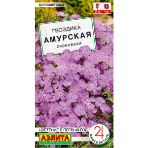 Гвоздика Амурская сиреневая Аэлита Ц