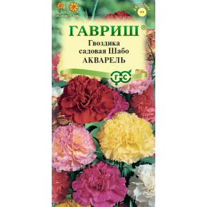 Гвоздика Акварель Шабо Гавриш Ц