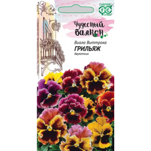 Виола Грильяж Гавриш Ц