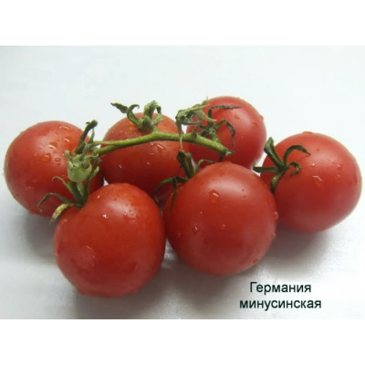 Томат Германия Минусинская коллекционные сорта