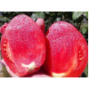 Томат Тюльпан розовый (Pink tulip) коллекционные сорта
