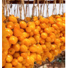 Томат ДжаДжу (Giagiù, Yellow Piennolo del Vesuvio) коллекционные сорта