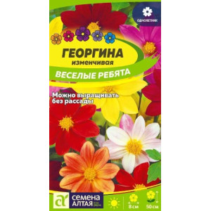 Георгина Веселые ребята Семена Алтая Ц Георгина Веселые ребята Семена Алтая Ц