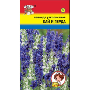 Лаванда Кай и Герда Урожай удачи Ц