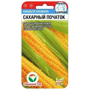 Кукуруза Сахарный початок СС Ц