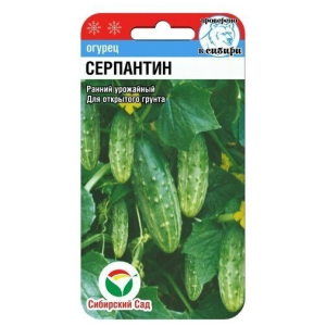 Огурец Серпантин СС Ц