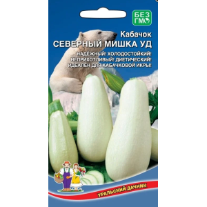 Кабачок Северный Мишка УД Ц