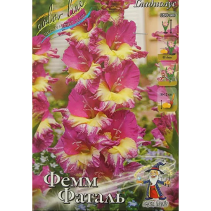 Гладиолус Фемм Фаталь 1шт