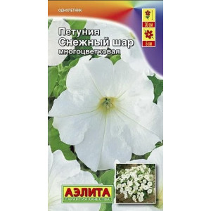 Петуния Снежный шар Аэлита Ц Петуния Снежный шар Аэлита Ц
