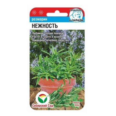 Розмарин Нежность СибСад Ц