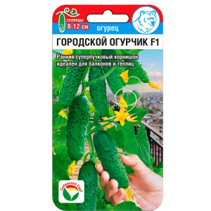 Огурец Городской огурчик СибСад Ц