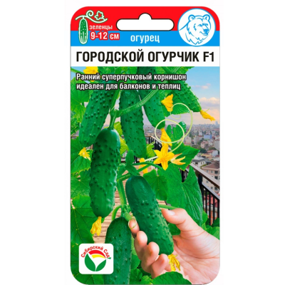 Огурец Городской огурчик СибСад Ц