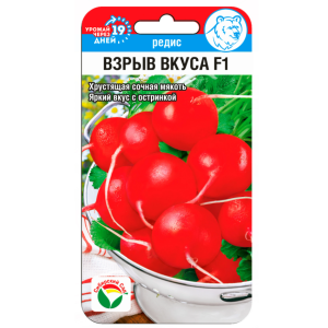 Редис Взрыв вкуса СибСад Ц