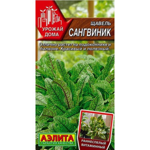 Щавель Сангвиник Аэлита Ц