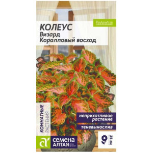 Колеус Визард Коралловый Восход/Сем Алт/цп 8 шт. Колеус Визард Коралловый Восход/Сем Алт/цп 8 шт.