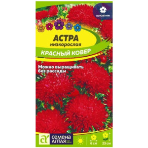 Астра Красный ковер низкорослая/Сем Алт/цп 0,2 гр. Астра Красный ковер низкорослая/Сем Алт/цп 0,2 гр.