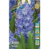 Нарцисс и Гиацинт Витрина №4 V-NCHY-06 Нарцисс и Гиацинт Витрина №4 V-NCHY-06